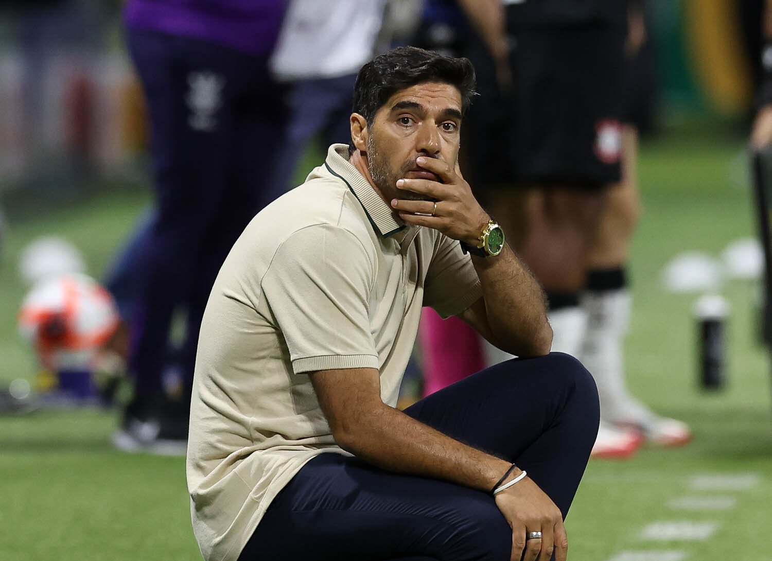 Palmeiras Campeão Brasileirão 2025: O que o Verdão precisa fazer e torcer nas últimas rodadas